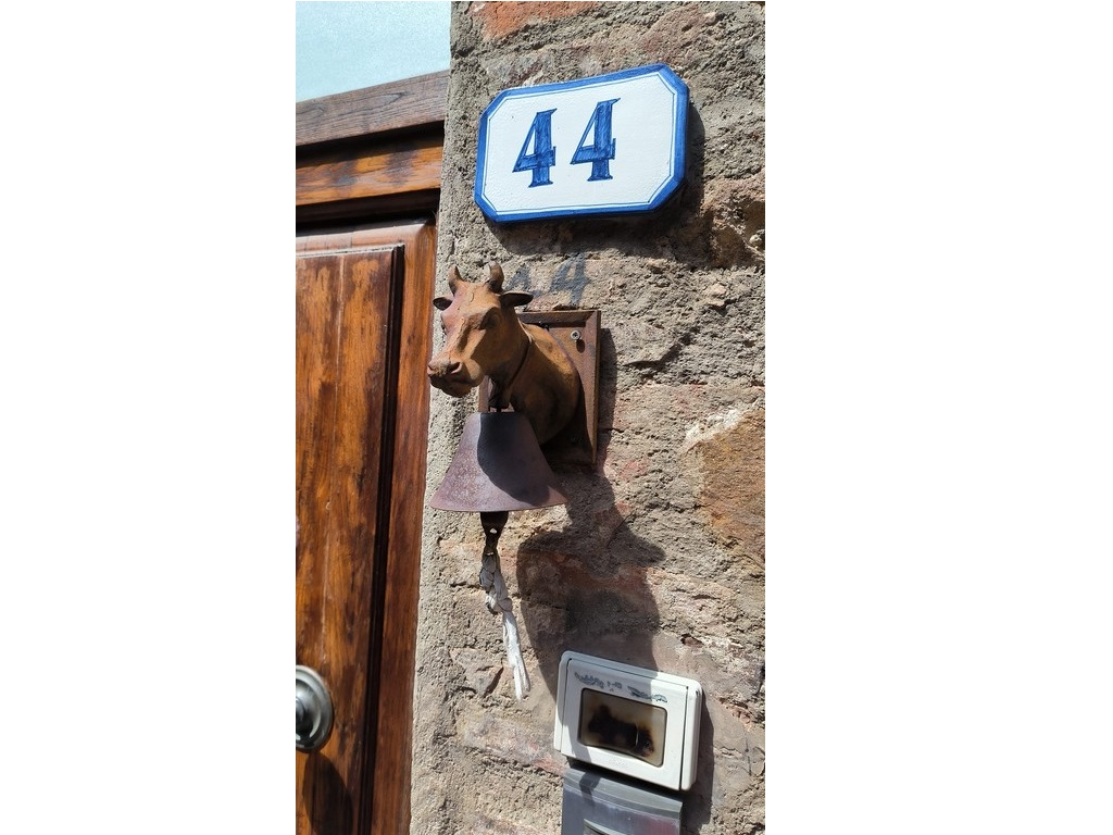 373656379_7283606998321310_4734371203085116084_n