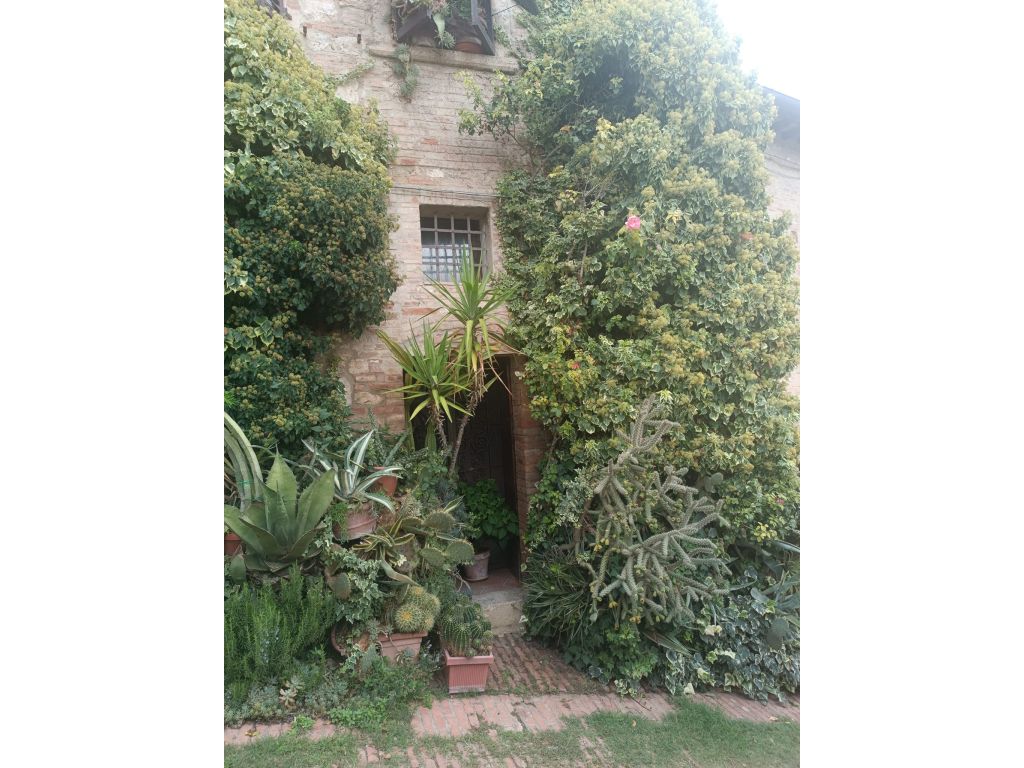 image003